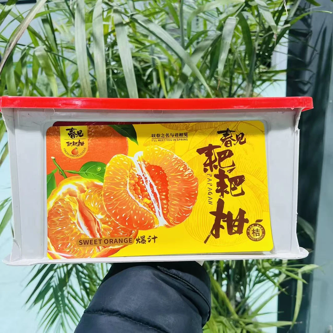 【白框】春见耙耙柑 爆浆香甜水分足 带框5.5斤左右 只发山西省内