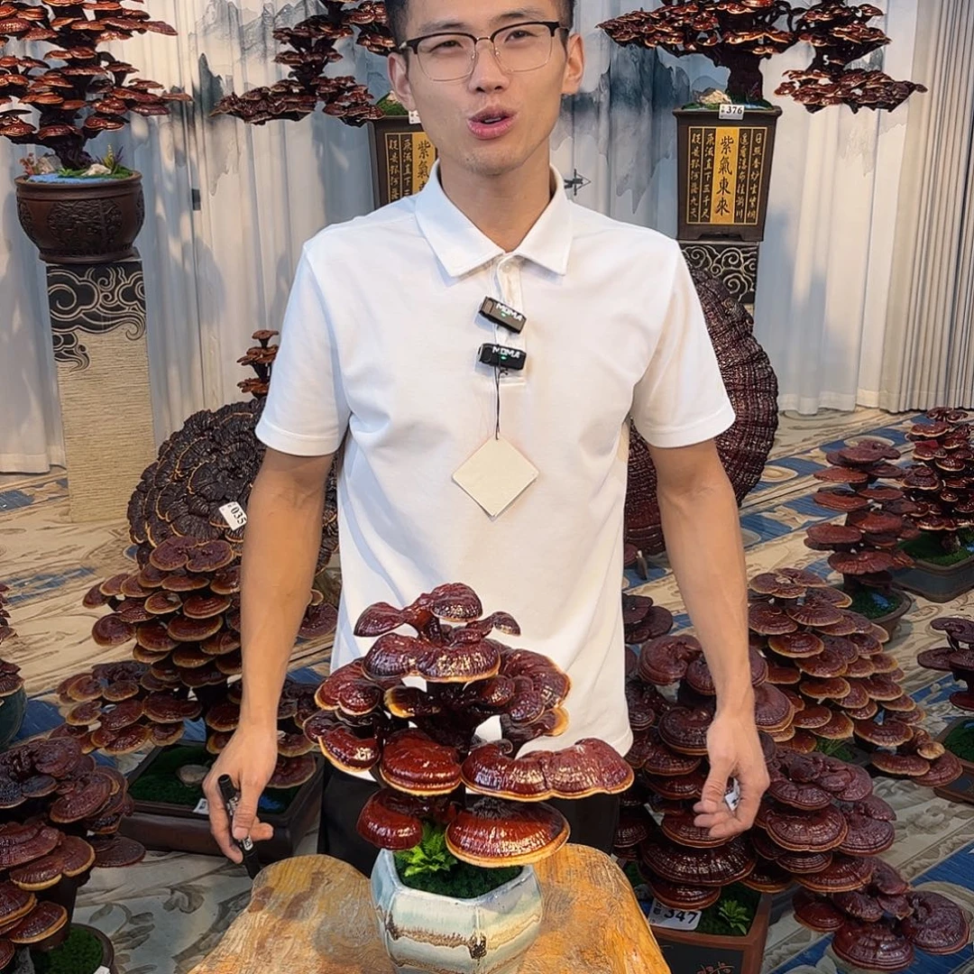 全部花朵88888888888