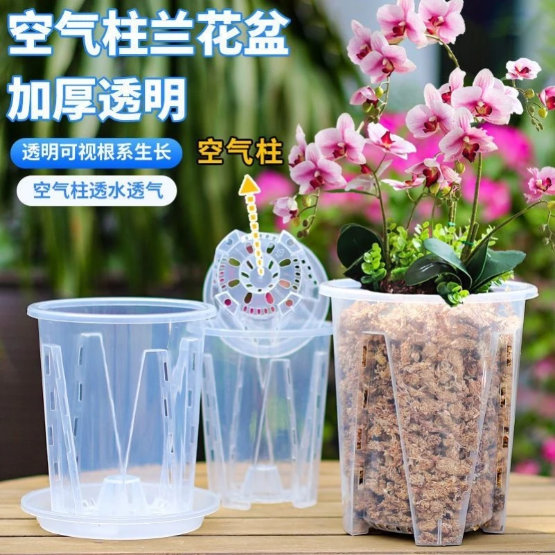 透明控根盆蝴蝶兰专用透气镂空塑料花盆青山兰花水苔花盆