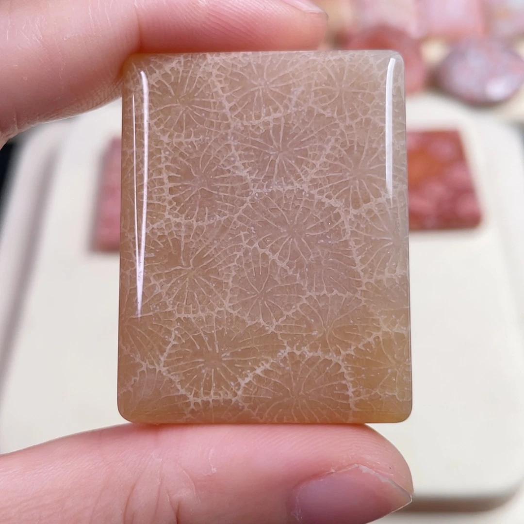 【闪购商品】未镶嵌吊坠(赠链)硅化玉