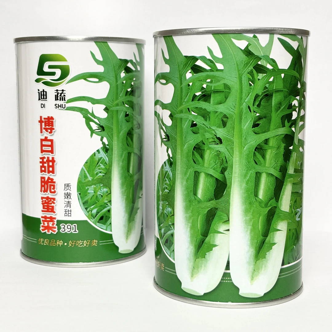 博白麦菜种子391*博白甜脆蜜菜（约10g）种籽