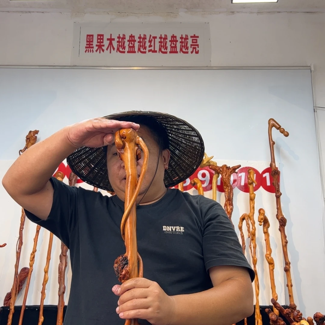 龙***龙黑果木其他黑果木781