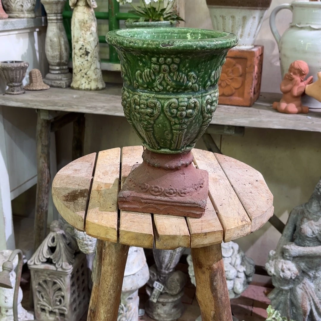 许纯的花房 绿色奖杯大