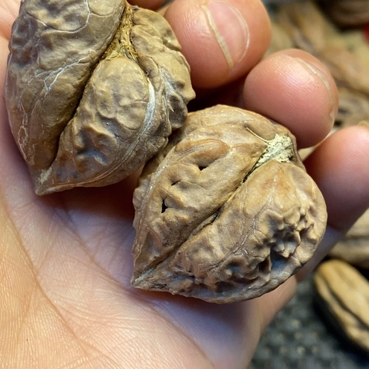 吊坠文玩核桃娜姐87