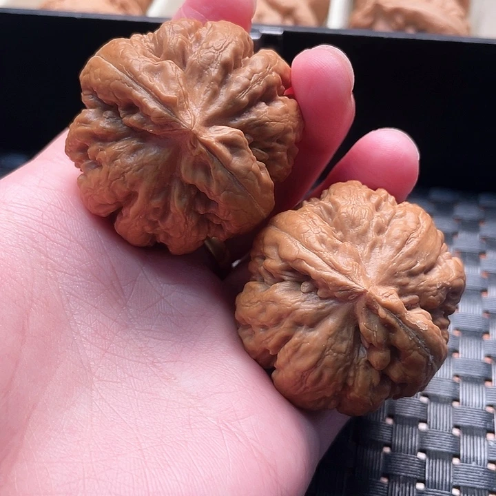 无****霸王龙核桃尺寸40+