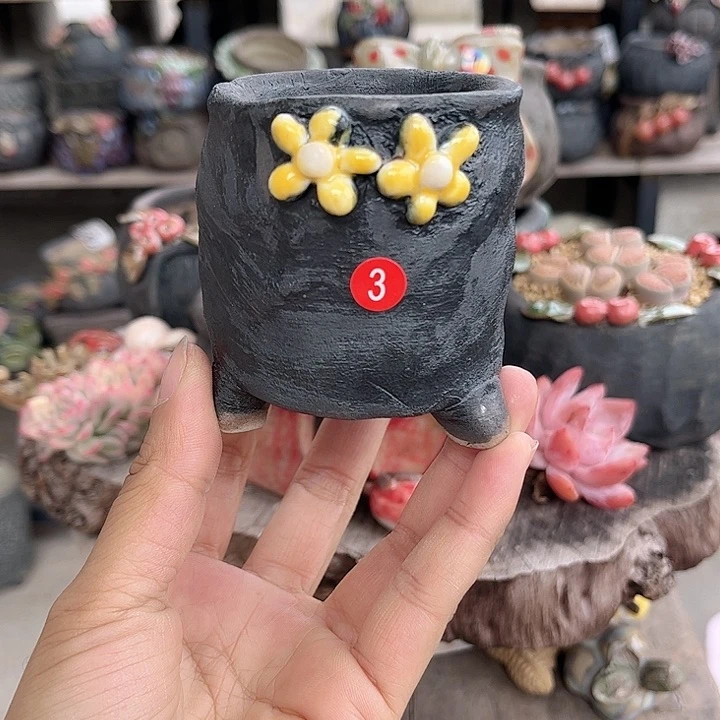 陶哈哈我想说什么呢