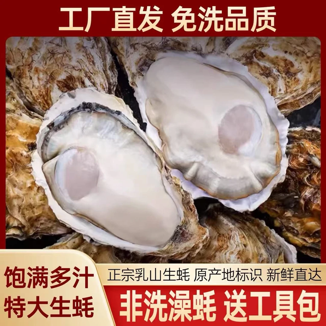 富蚝岛鲜活乳山牡蛎生蚝5斤装1-5两/个，原产地源头工厂京东包邮。