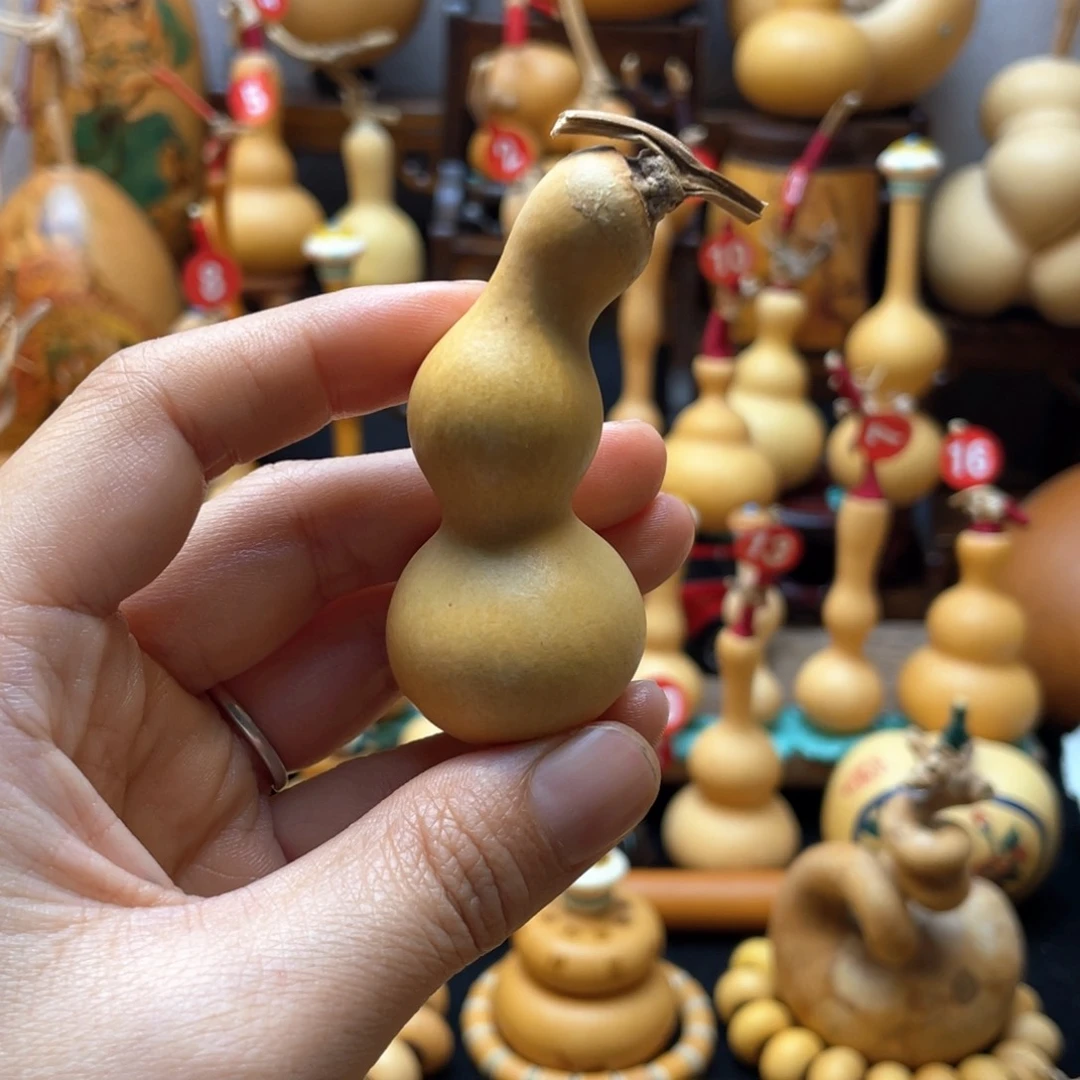 大自然的秘密是什么呢我的天哪