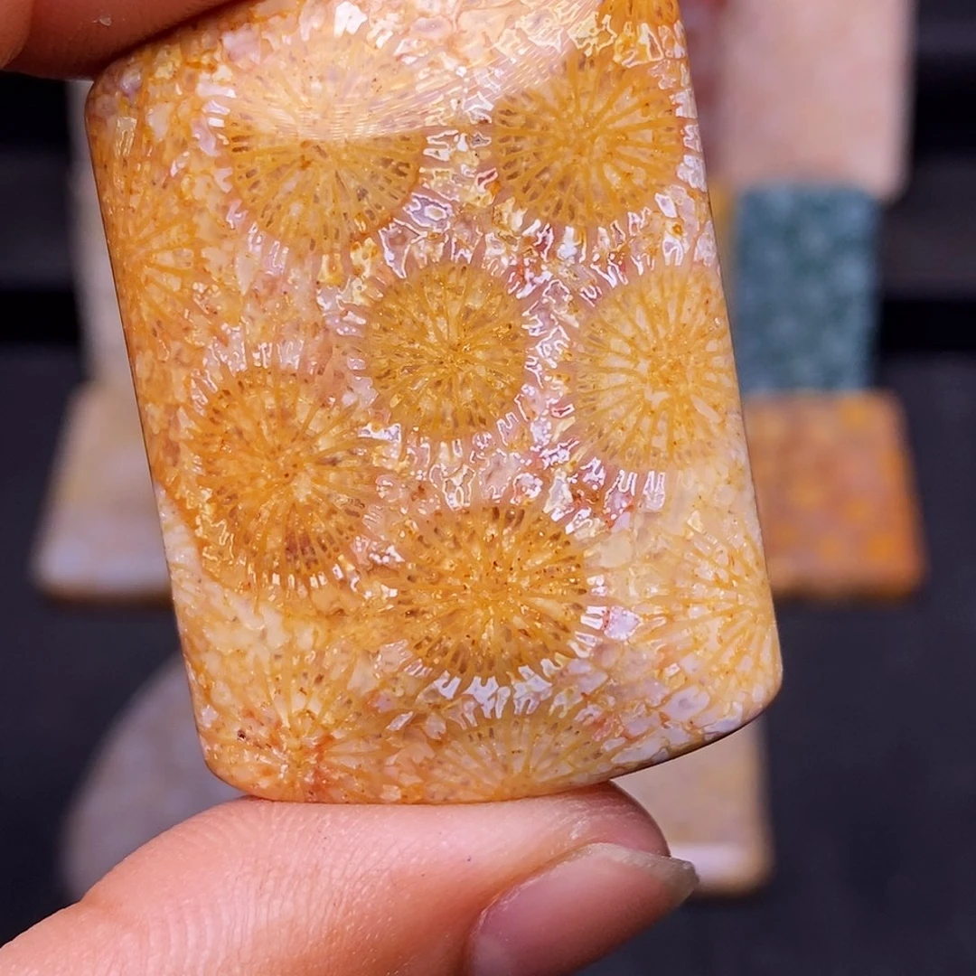 青***草硅化玉珊瑚玉合金