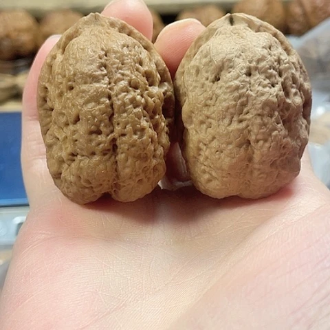 文玩核桃把件镇妖塔油阴色差39+