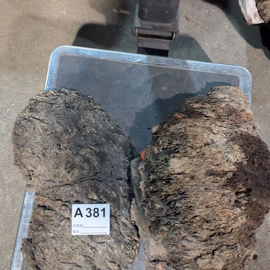 舟***隐花梨木类花梨木381