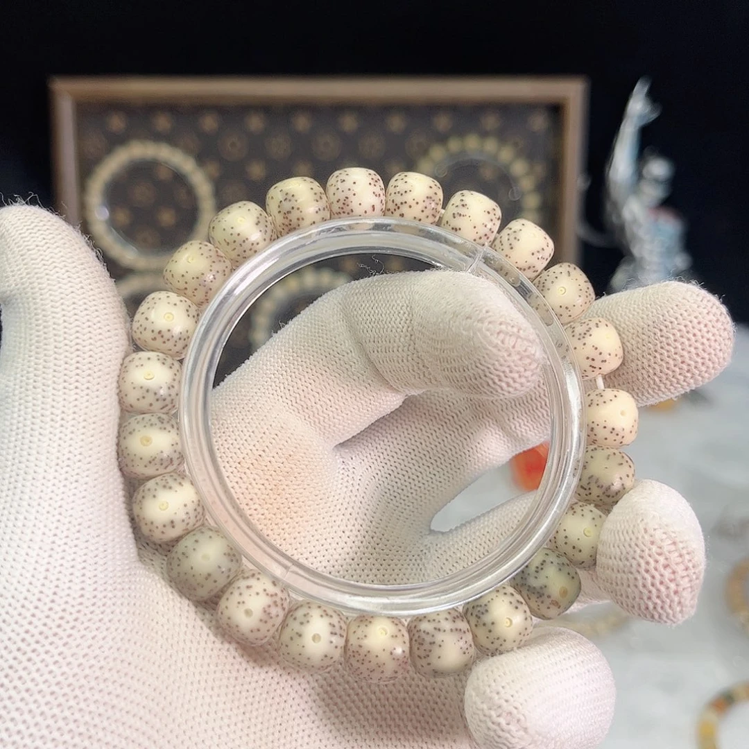 手串星月菩提569 号.  星月菩提. 一物一图.