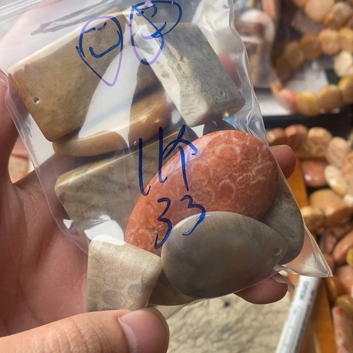 *****颈饰未镶嵌硅化珊瑚（珊瑚玉）