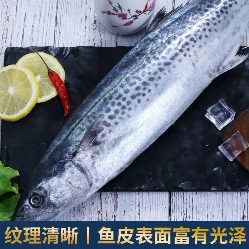 正宗马鲛鱼整条山东日照发货