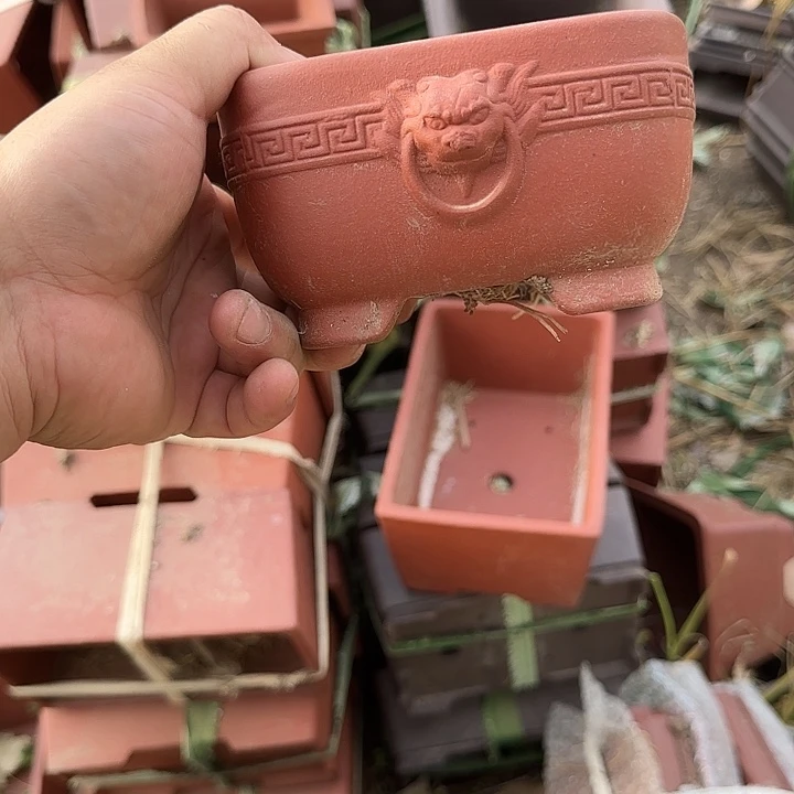 是一个有思想性又很聪明可爱