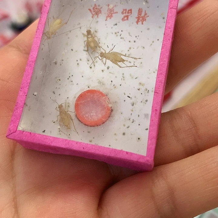 童***趣啊啊啊啊啊啊啊啊啊