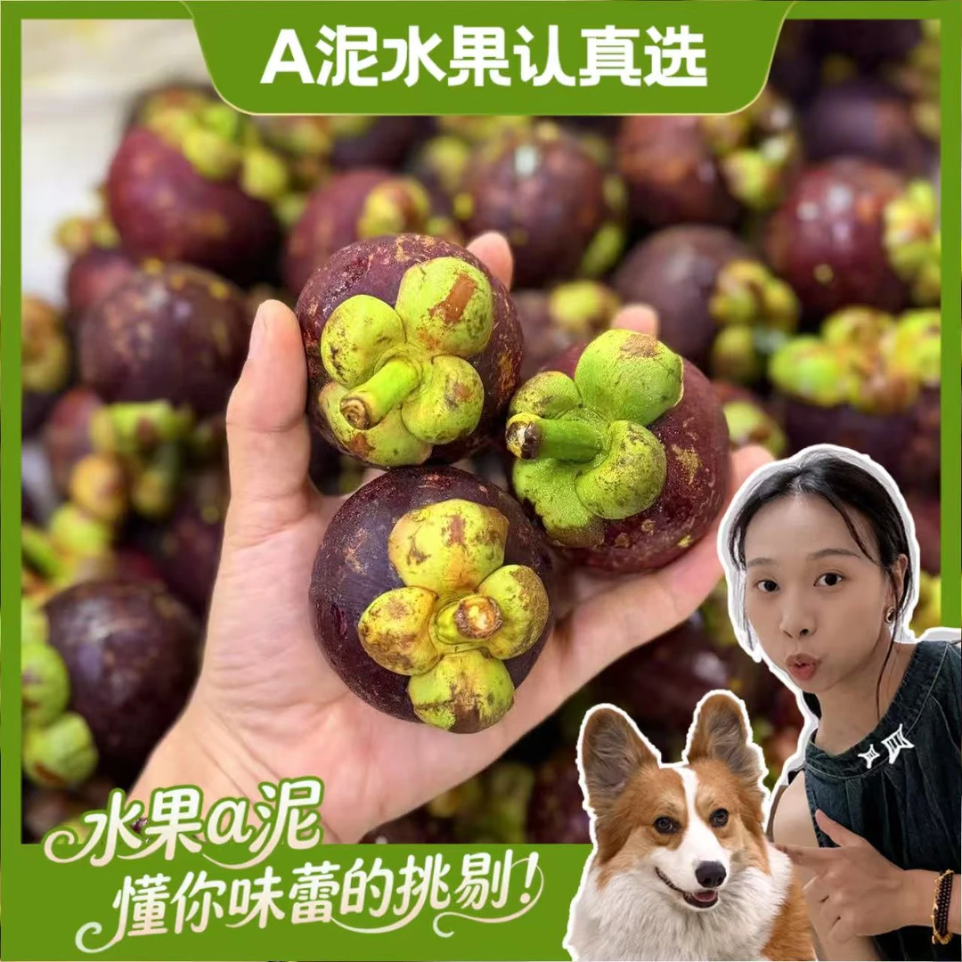 【次日达】【净重14斤原箱】泰国新鲜山竹2A约14斤装酸甜可口 【坏果包赔】