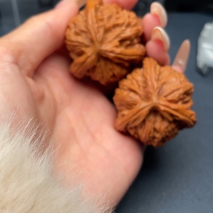 冬***草吊坠文玩核桃白狮子