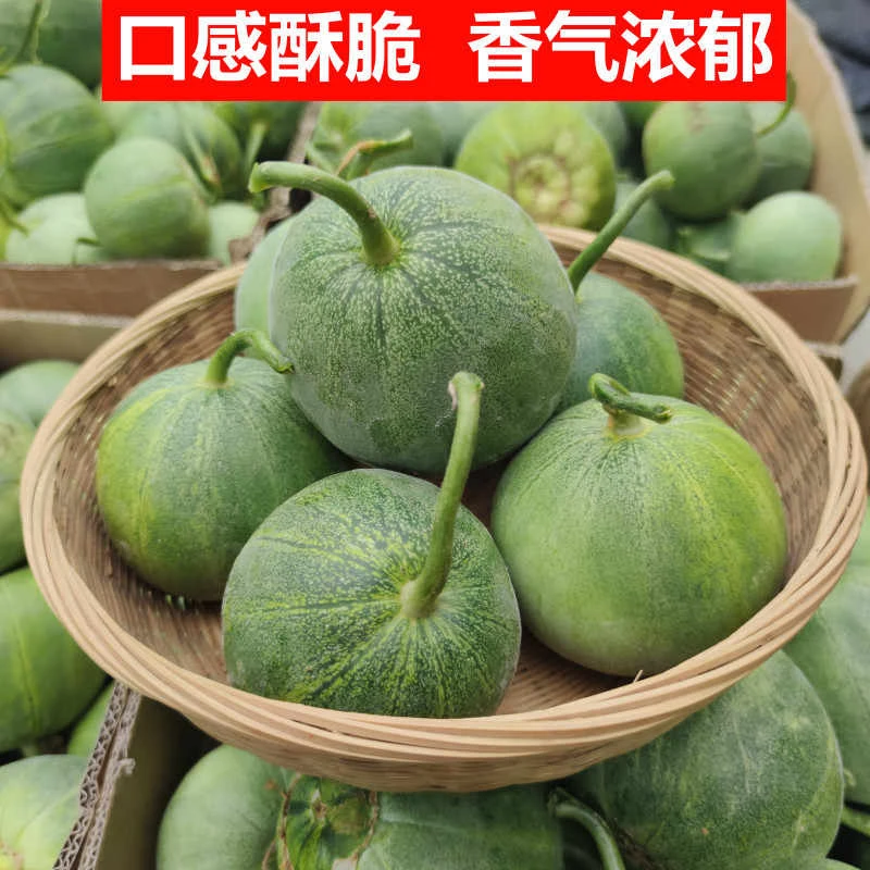 冰翡翠绿宝石应季新鲜水果马连庄甜瓜蜜瓜香瓜3-5斤