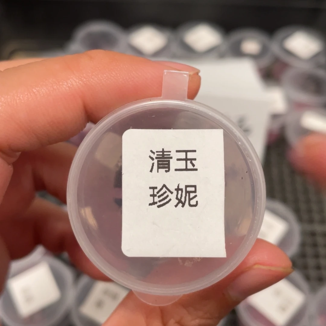 清玉珍妮20粒，正价36.8，新品超推荐！