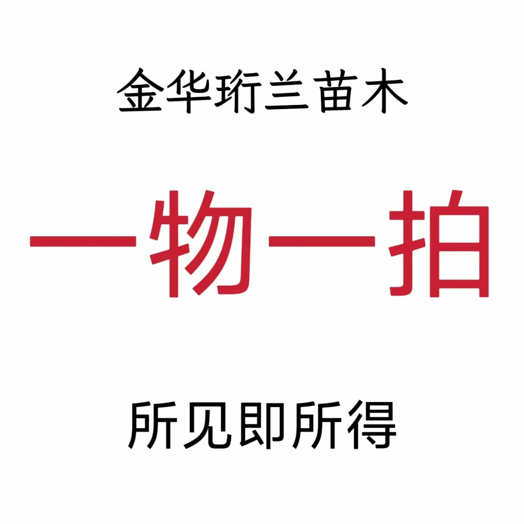 果树直播专用一物一拍