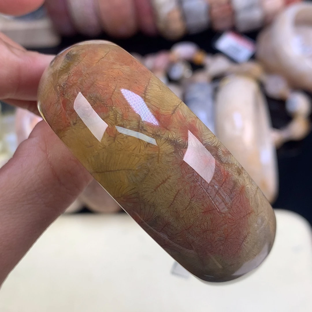 【闪购商品】颈饰未镶嵌硅化珊瑚（珊瑚玉）55号胖虫54.6圈