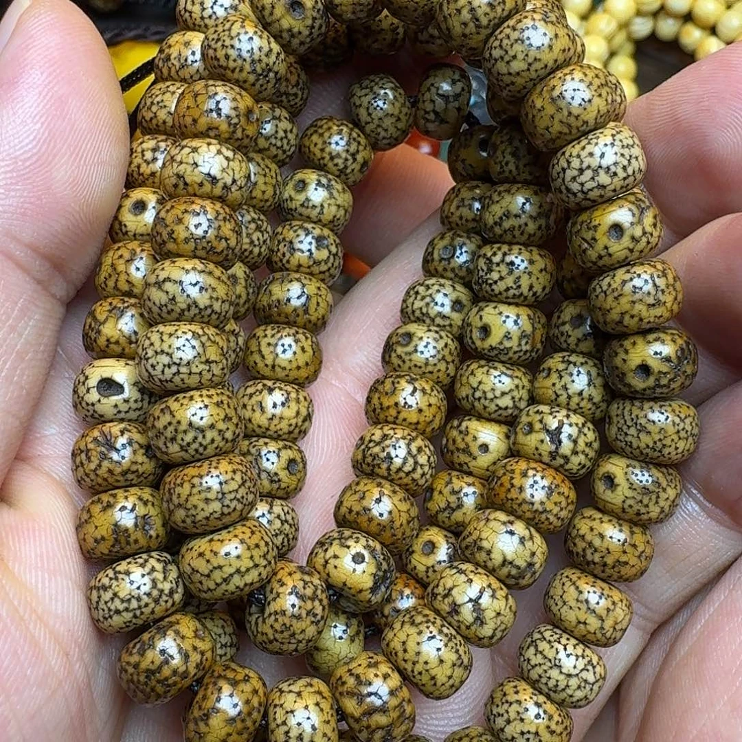 菩提籽类星月菩提