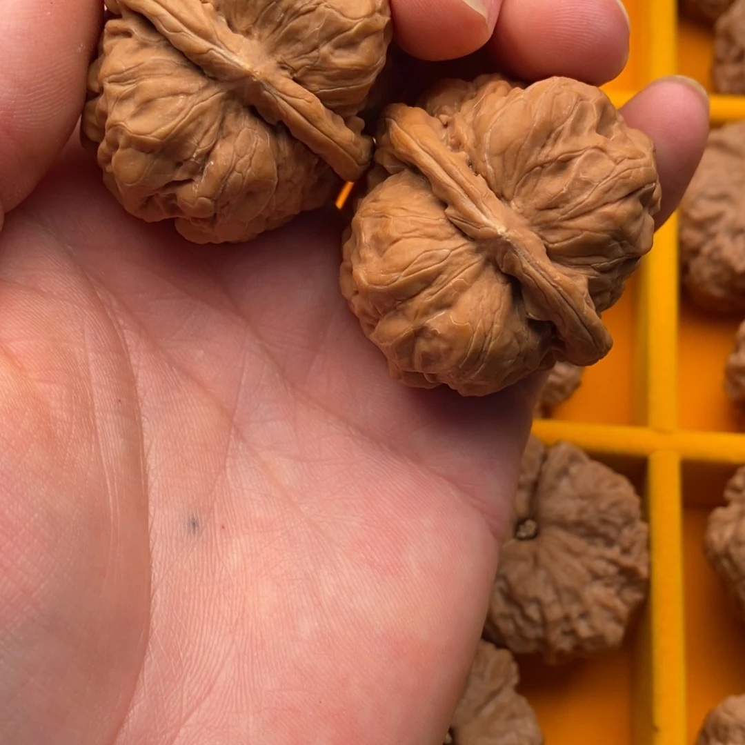 42全品蛤蟆头狮子头