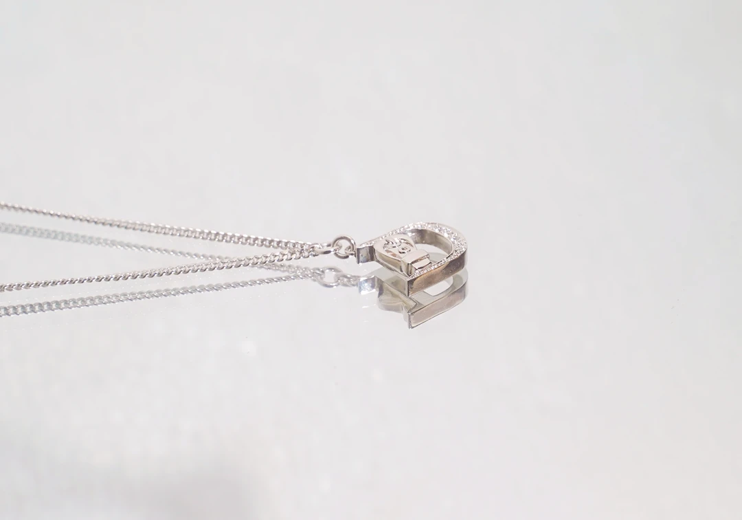 95新 DIOR/迪奥 dior 卡扣字母银色项链 zm10