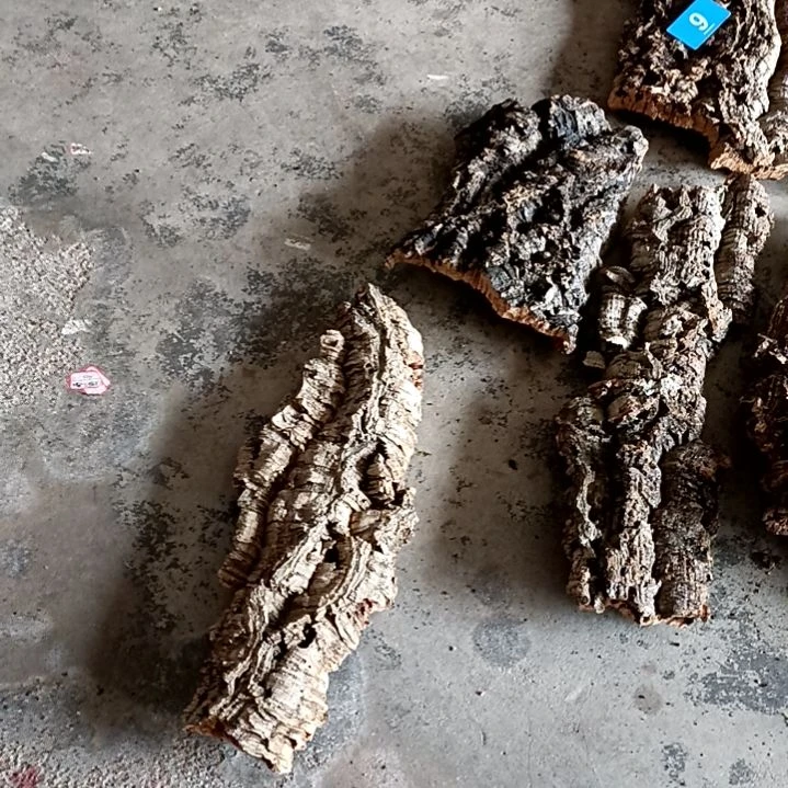 木一物一拍一物一发