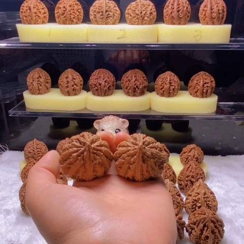 张***哈文玩核桃把件虎头