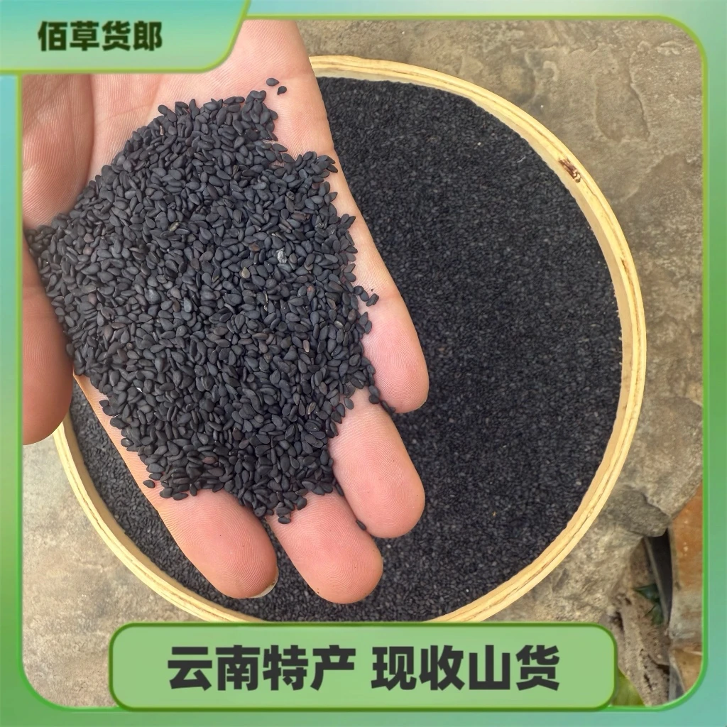 【云】云南好货黑芝麻