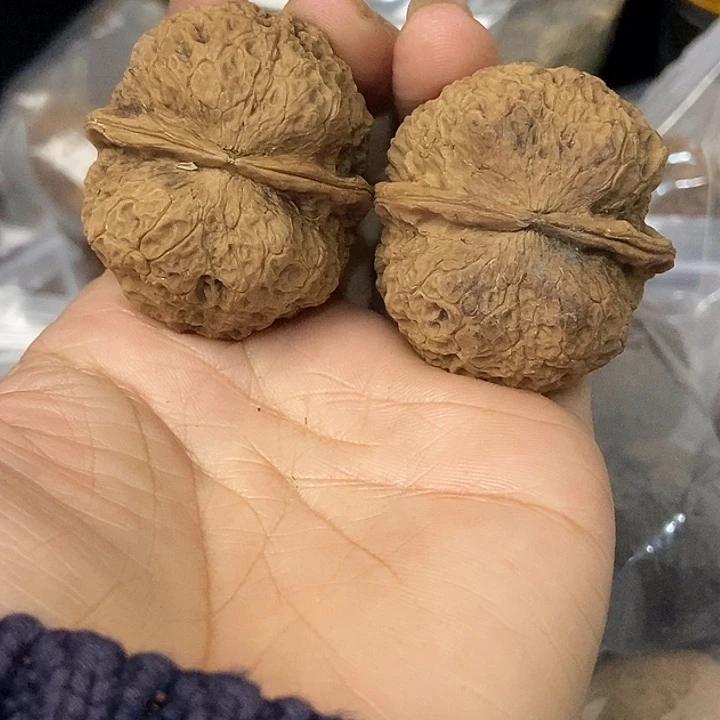 把件文玩核桃云南铁核桃基地23