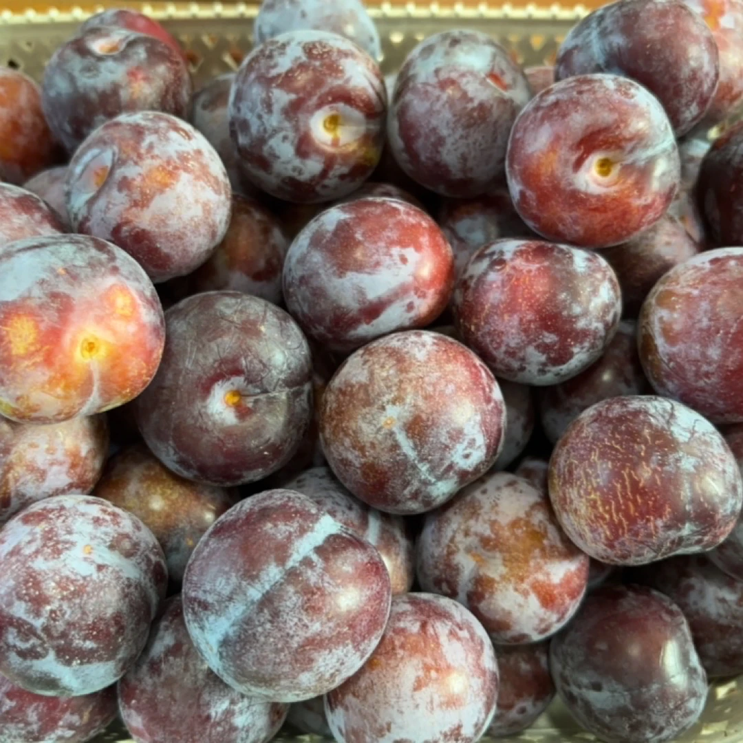 【川渝地区拍】达州石桥新鲜现摘脆红李子5斤