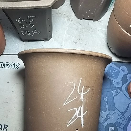 特大金钟一个花盆