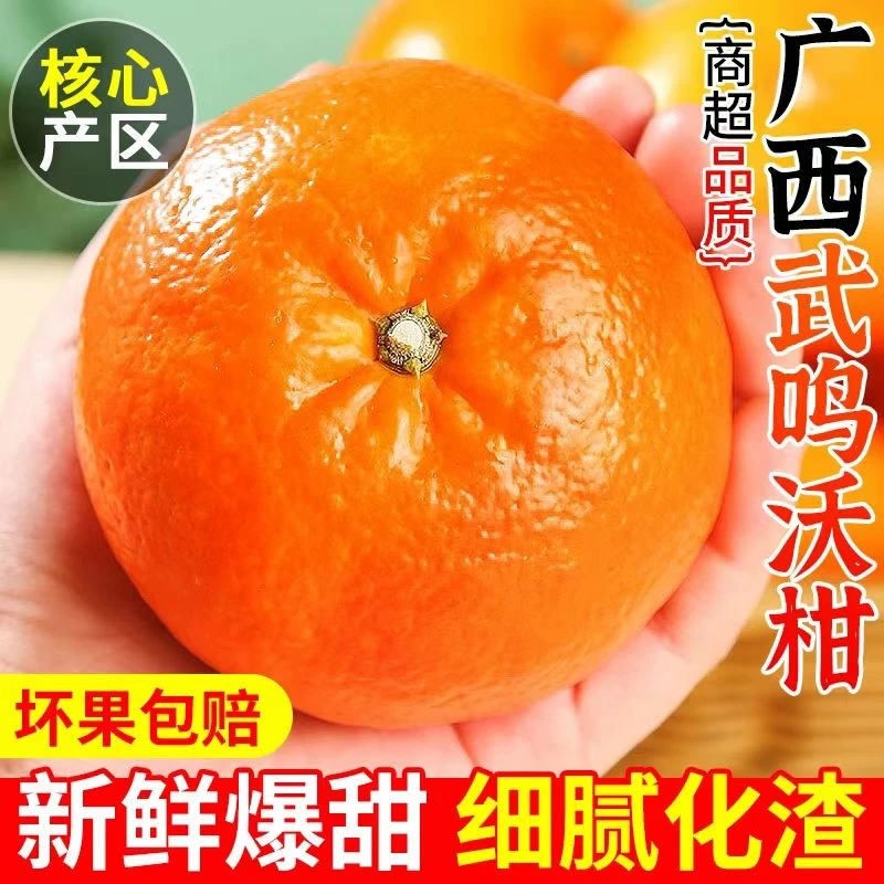 新鲜武鸣沃柑十斤包邮甜橘子水果当季现摘沙糖砂糖柑橘新鲜耙耙柑
