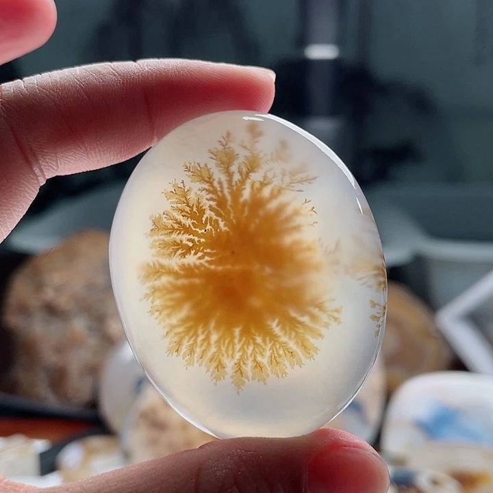 玛瑙/玉髓吊坠(不含链)未镶嵌幕*