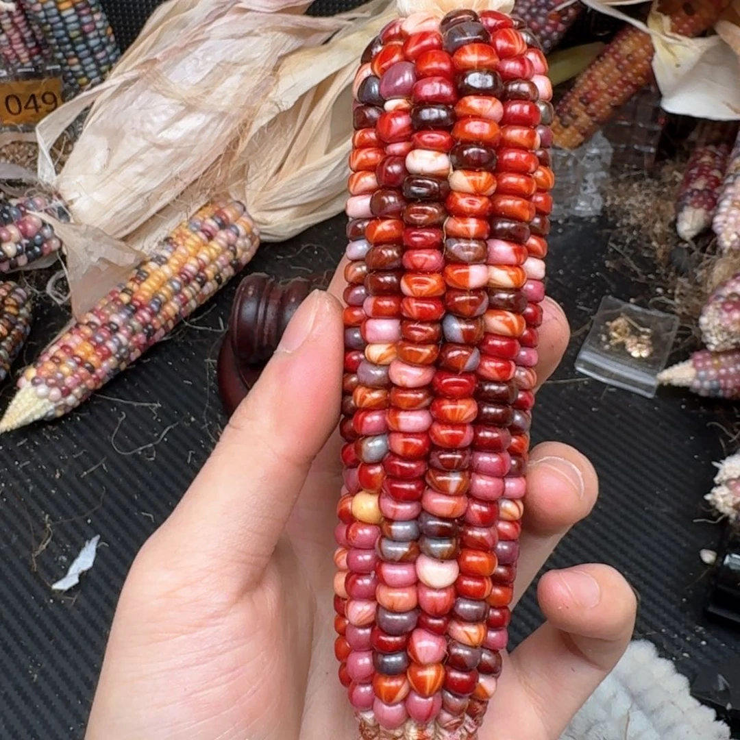 柏香籽/百香籽吊坠风****海