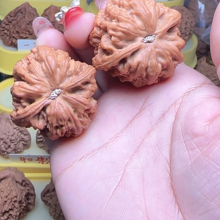 @***波弯弯核桃大抽筋，弯弯核桃大抽筋