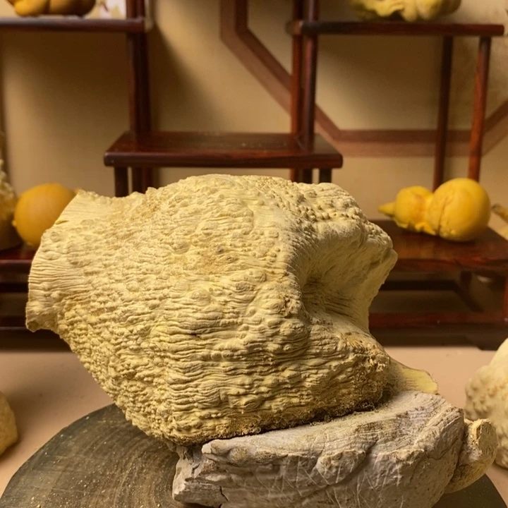香榧木良****生黄杨木手把件
