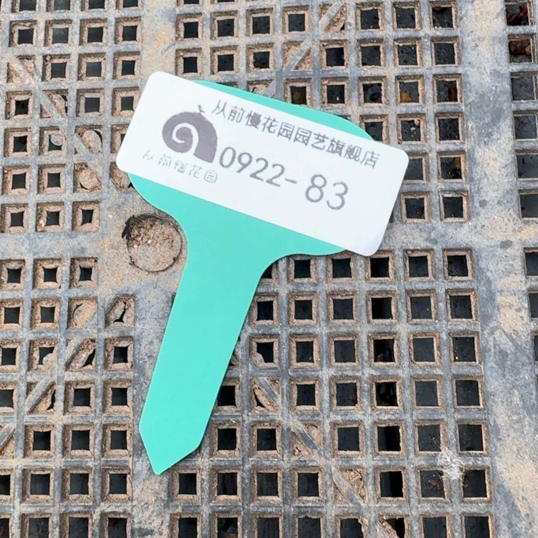 从前慢多肉精选编号0922.83