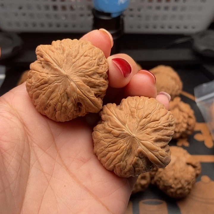 核桃不**面38尺寸铁锤妹妹