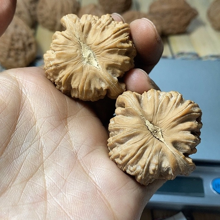 陳***ｌ吊坠文玩核桃白狮子
