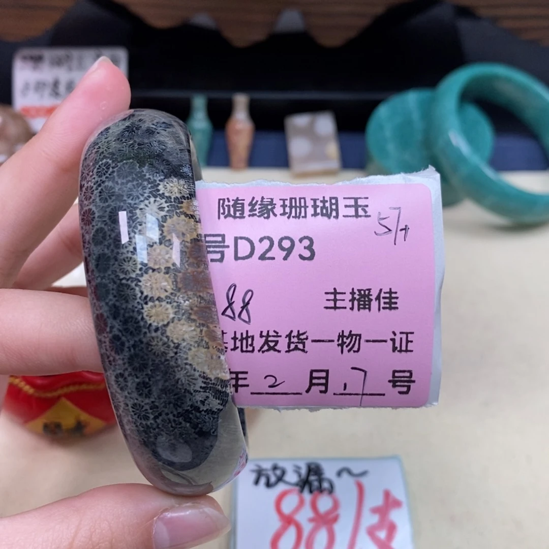 硅化珊瑚（珊瑚玉）D293未镶嵌陈*梓