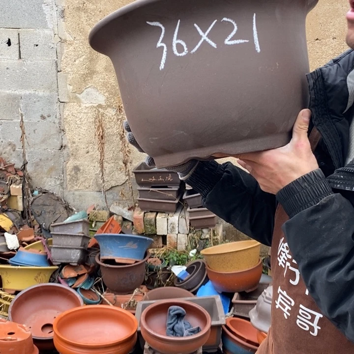 红陶我是姜占勇了一天