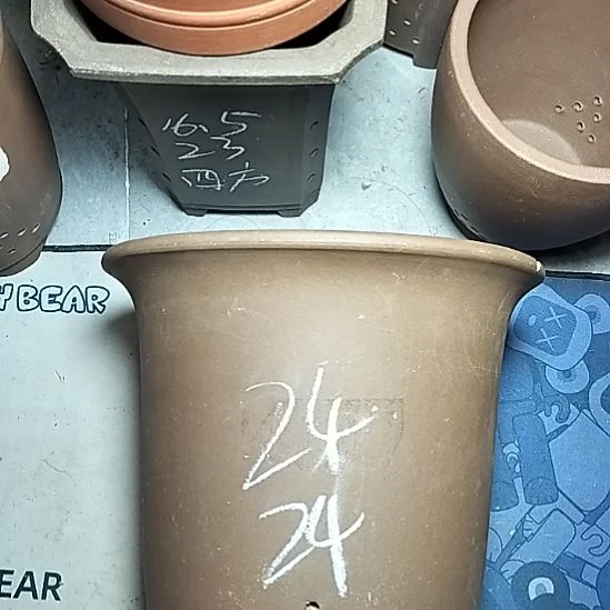 特大金钟一个花盆