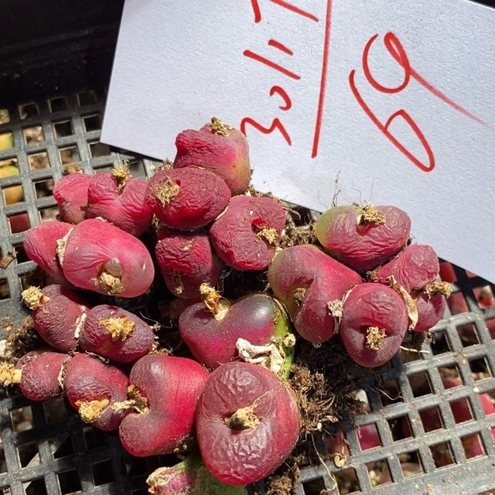 30117一组一组一组