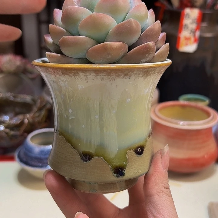 景德镇陶瓷研究所所长