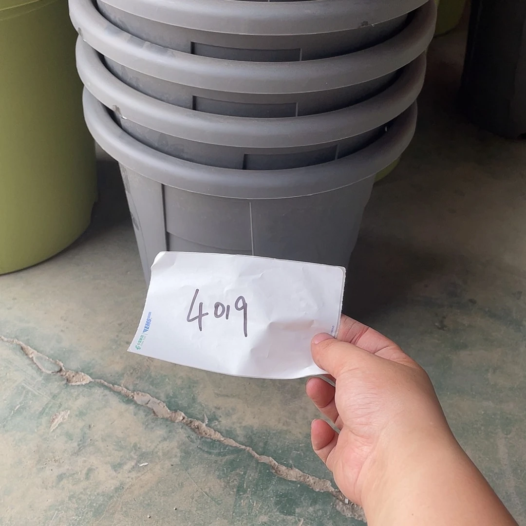 ?**檬编号是4019的编号