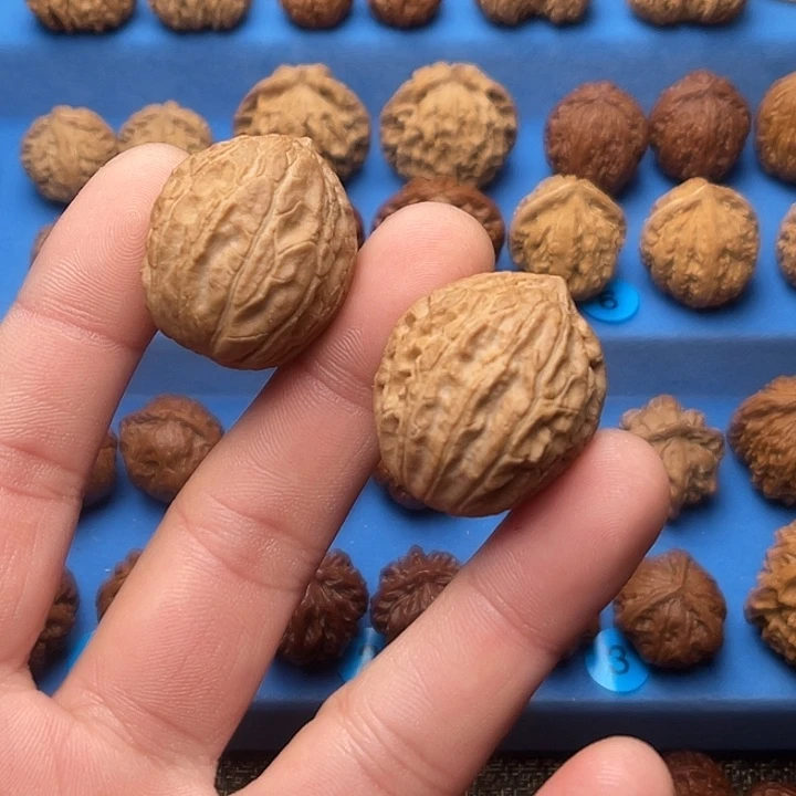 文玩核桃把件大枣